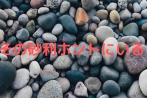 ライトなしでカメの飼育ってどうなの 5つの注意点を紹介 凡人が快適な生活を目指す