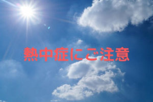 ライトなしでカメの飼育ってどうなの 5つの注意点を紹介 凡人が快適な生活を目指す