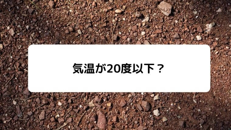 カメの冬眠の時期っていつ頃 17年の飼育経験 凡人が快適な生活を目指す