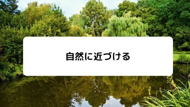 カメを冬眠させると寿命がのびる 冬眠の利点 凡人が快適な生活を目指す