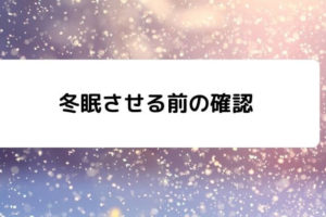 ライトなしでカメの飼育ってどうなの 5つの注意点を紹介 凡人が快適な生活を目指す