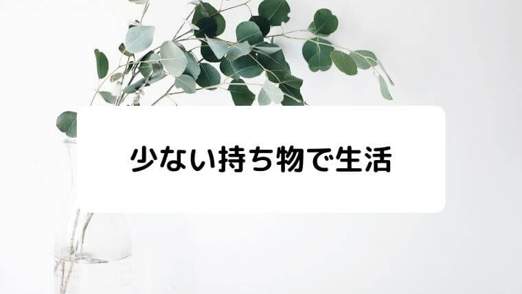 ミニマリストの定義って何 必要な物を理解し それ以外の物を手放す人 凡人が快適な生活を目指す